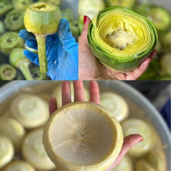 5 Çanak Enginar + 5 Dolmalık Enginar + 5 Saplı Bebek  Enginar