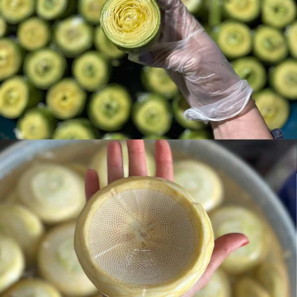 15 Çanak Enginar  + 15 Kalp Enginar