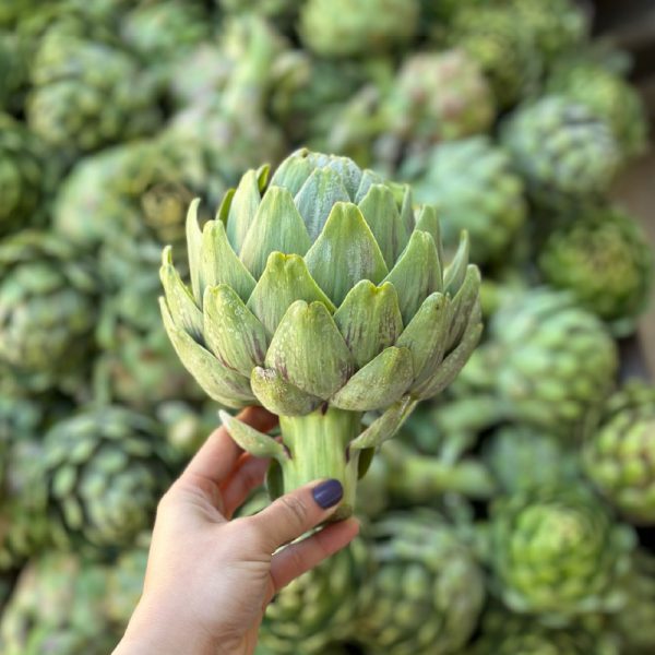 Dalından Ayıklanmamış Çanak Enginar