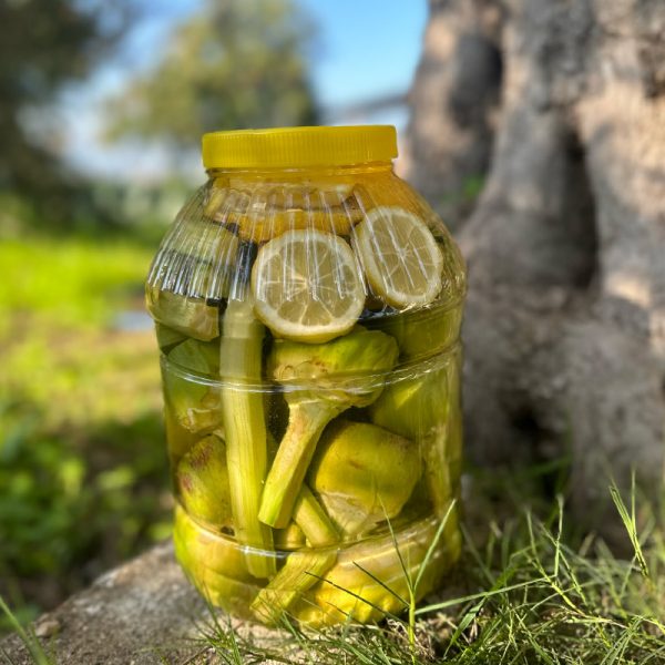 Taze Günlük Ayıklama Saplı Bebek Enginar